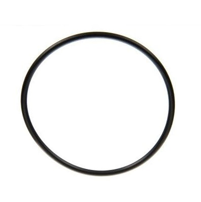 1610254M1 Massey Ferguson PTO Seal O Ring