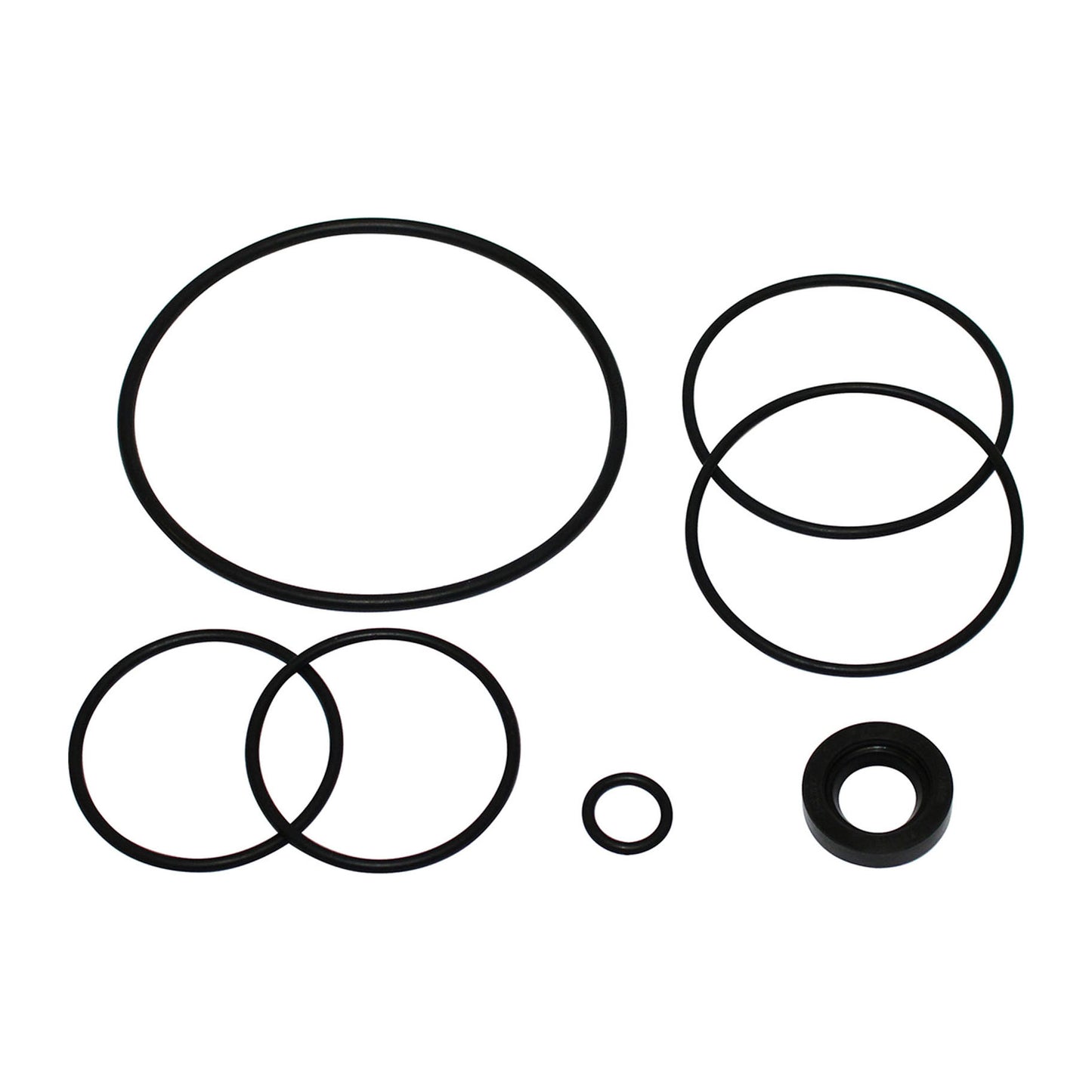 1810417M91 Massey Ferguson Power Steering Pump Seal Kit